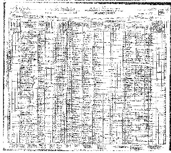 1920 Federal Census